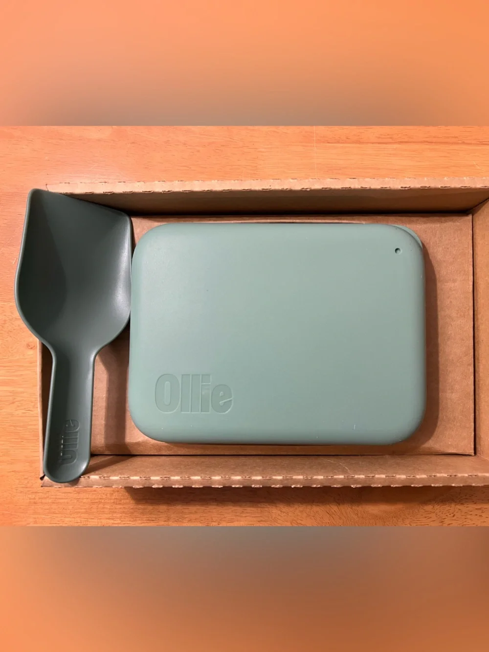 NEW Ollie Green Silicone Pet Food Storage Container with Green Scoop